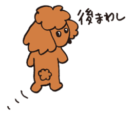 The world's cutest poodle sticker #4806271