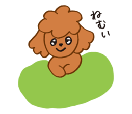 The world's cutest poodle sticker #4806272