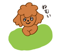 The world's cutest poodle sticker #4806272