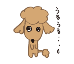 The world's cutest poodle sticker #4806278