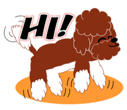 Australian Labradoodle sticker #4808001