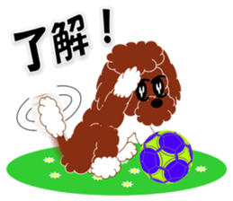 Australian Labradoodle sticker #4808004