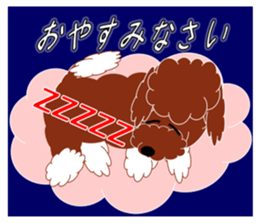 Australian Labradoodle sticker #4808009