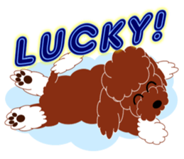 Australian Labradoodle sticker #4808011