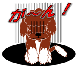Australian Labradoodle sticker #4808014