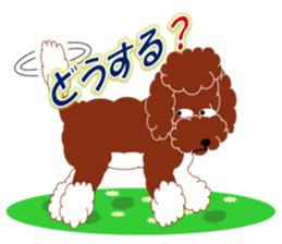 Australian Labradoodle sticker #4808016