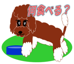 Australian Labradoodle sticker #4808019