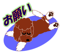 Australian Labradoodle sticker #4808020