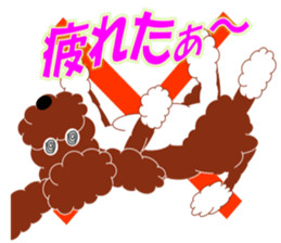 Australian Labradoodle sticker #4808024