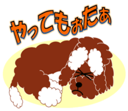 Australian Labradoodle sticker #4808026