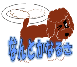 Australian Labradoodle sticker #4808028