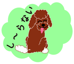 Australian Labradoodle sticker #4808031