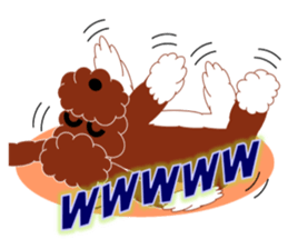 Australian Labradoodle sticker #4808039