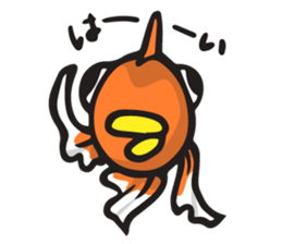 Front goldfish "Mr. Omedeka" sticker #4810889