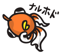 Front goldfish "Mr. Omedeka" sticker #4810894