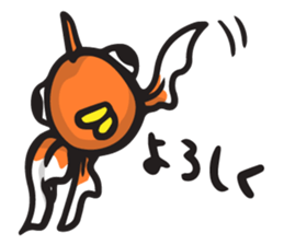 Front goldfish "Mr. Omedeka" sticker #4810896