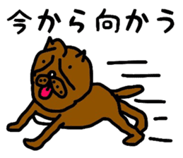 OSAKA PITBULL sticker #4812385