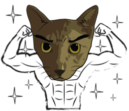 Mister Cat sticker #4815416