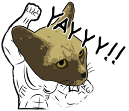 Mister Cat sticker #4815417