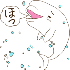 If it is good, it is a Dolphin