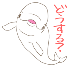 If it is good, it is a Dolphin sticker #4816054