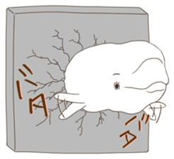 If it is good, it is a Dolphin sticker #4816071