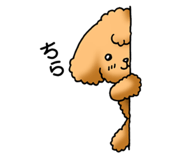 Cute Toy Poodle Sticker(Japanese) sticker #4816370