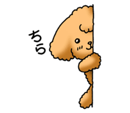 Cute Toy Poodle Sticker(Japanese) sticker #4816370