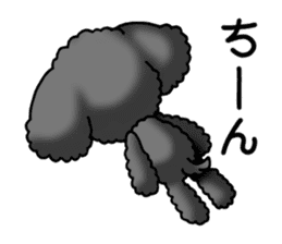 Cute Toy Poodle Sticker(Japanese) sticker #4816379