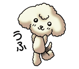 Cute Toy Poodle Sticker(Japanese) sticker #4816386
