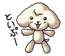Cute Toy Poodle Sticker(Japanese) sticker #4816392