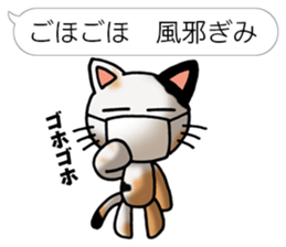 Tortoiseshell cat Pochi(Japanese) sticker #4816414