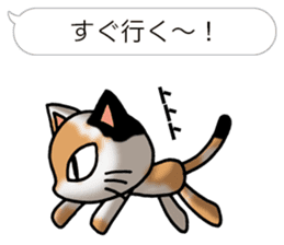 Tortoiseshell cat Pochi(Japanese) sticker #4816420