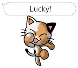 Tortoiseshell cat Pochi(Japanese) sticker #4816439