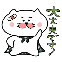 Furoshiki nyanko Matsukichi 5