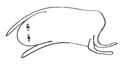 OBAO sticker #4826195