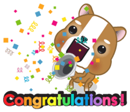 Mimi cat special greetings sticker #4826637