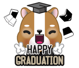 Mimi cat special greetings sticker #4826641