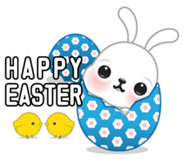 Mimi cat special greetings sticker #4826650