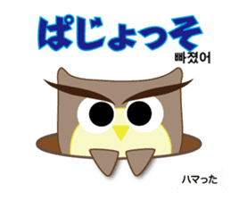 Owl's family(Korean/Japanese) sticker #4828127