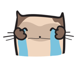 CAT E-SAN (EN) sticker #4830500