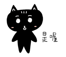 Round-faced cat sticker #4830586