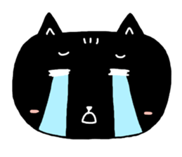 Round-faced cat sticker #4830603