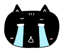 Round-faced cat sticker #4830603