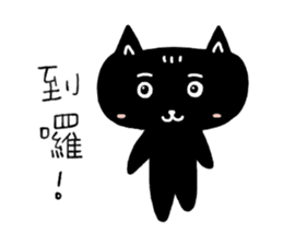 Round-faced cat sticker #4830610