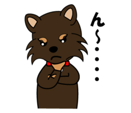 dog sticker, message from .... sticker #4831753