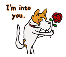 Capricious Leo in English sticker #4833210