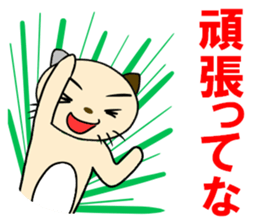 cat for men 7 sticker #4833228