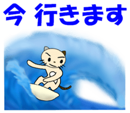 cat for men 7 sticker #4833237