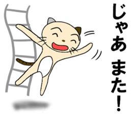 cat for men 7 sticker #4833262